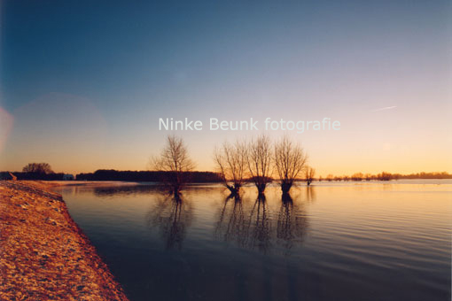 boemn-in-water